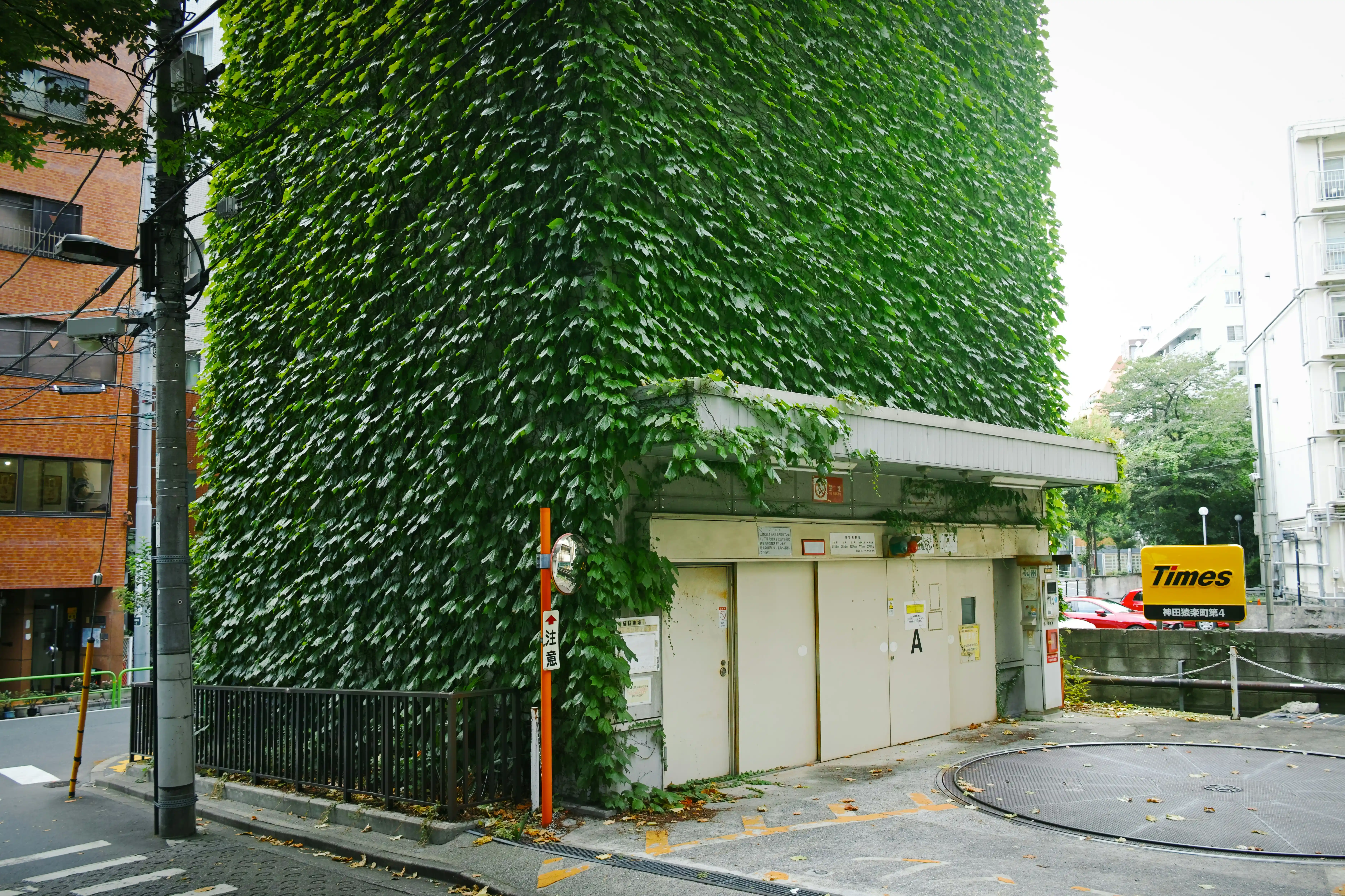Multi-story parking lot nicely covered with ivy