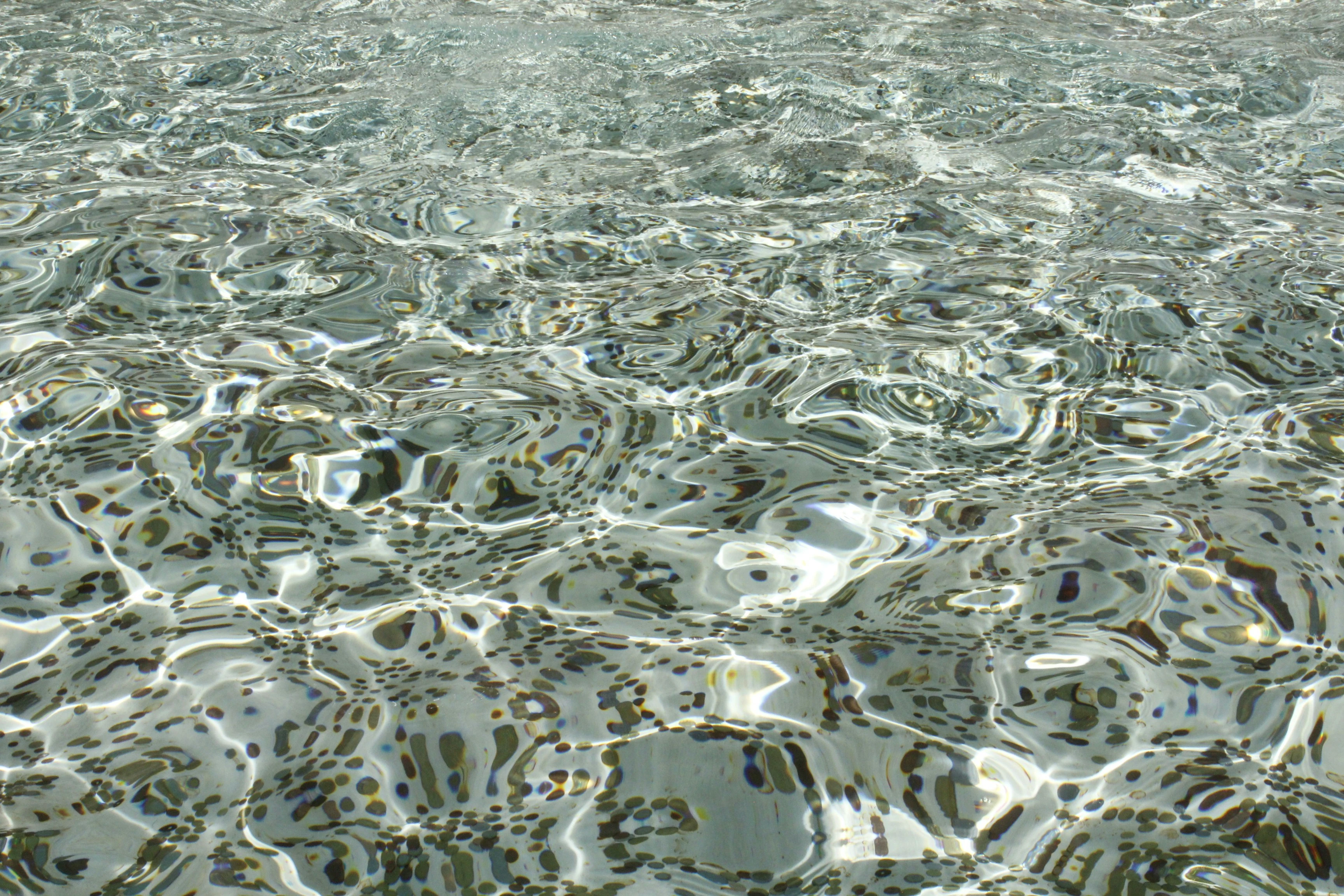 wishing well with coins