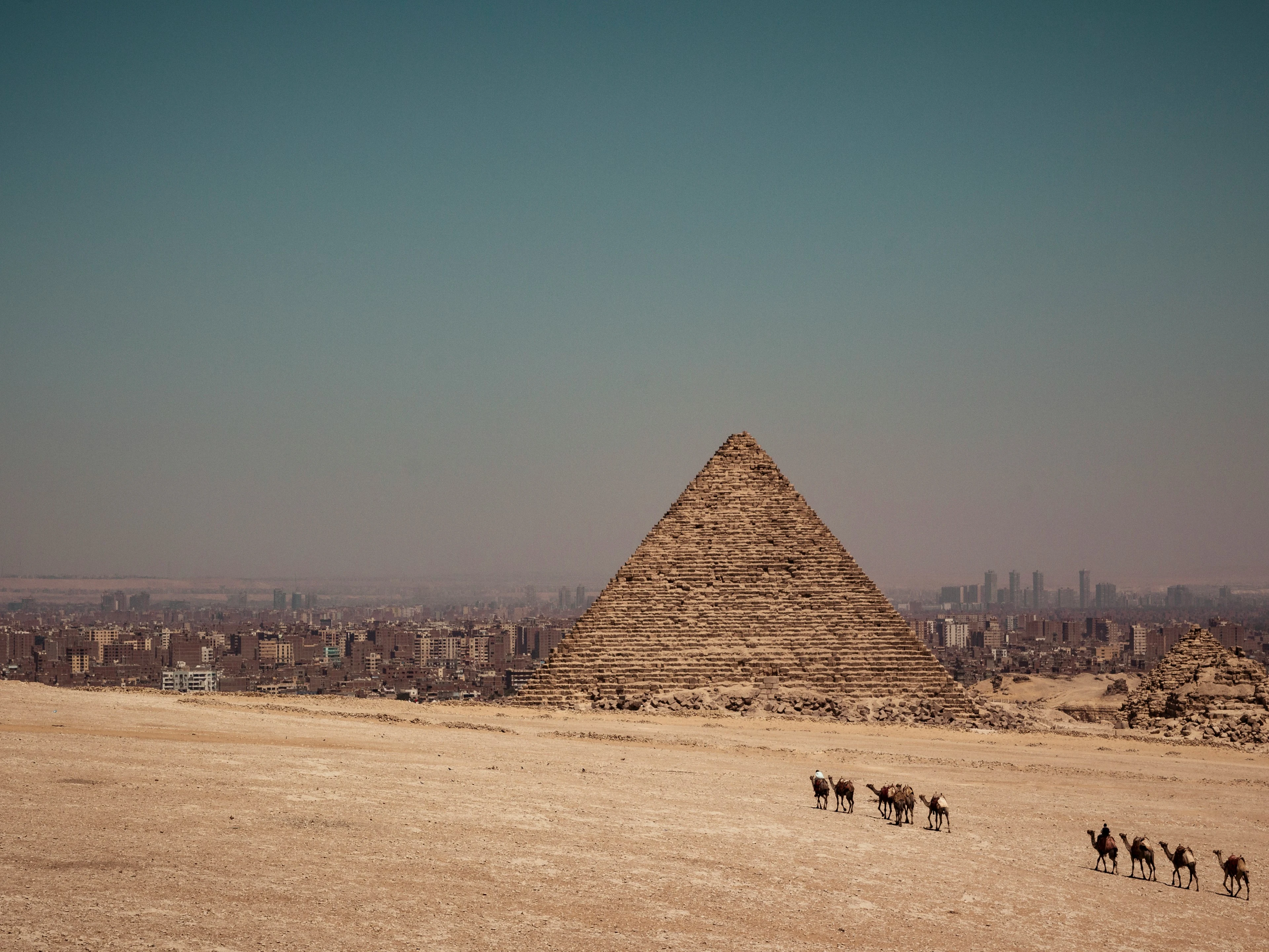 camels near Pyramid of Egypt during daytime